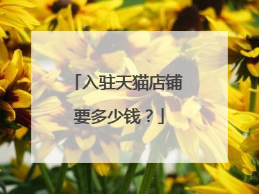 入驻天猫店铺要多少钱?