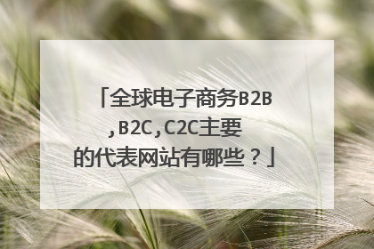 全球电子商务B2B,B2C,C2C主要的代表网站有哪些?