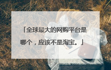 全球最大的网购平台是哪个,应该不是淘宝。