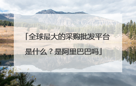 全球最大的采购批发平台是什么?是阿里巴巴吗
