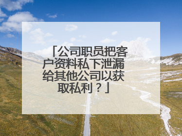 公司职员把客户资料私下泄漏给其他公司以获取私利？