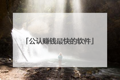 公认赚钱最快的软件
