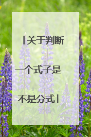 关于判断一个式子是不是分式