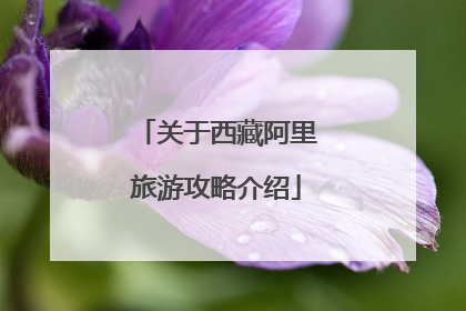 关于西藏阿里旅游攻略介绍