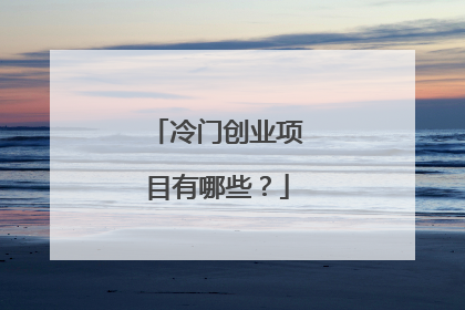 冷门创业项目有哪些?