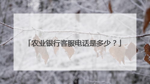农业银行客服电话是多少？