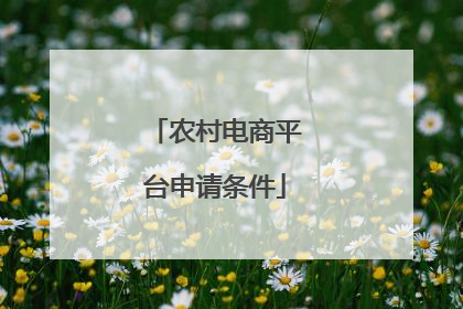 农村电商平台申请条件