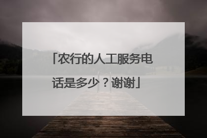 农行的人工服务电话是多少?谢谢
