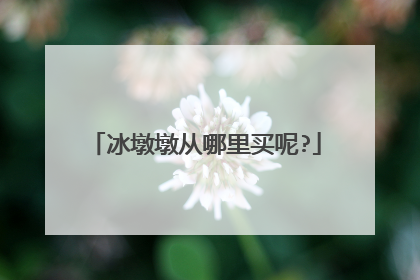 冰墩墩从哪里买呢?