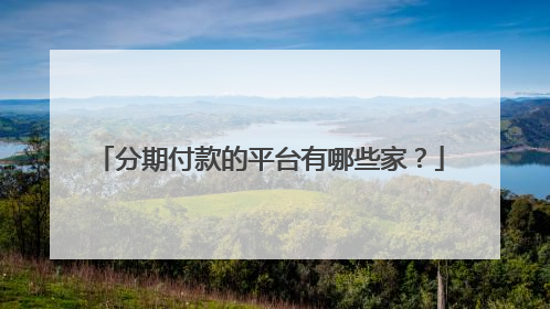 分期付款的平台有哪些家?
