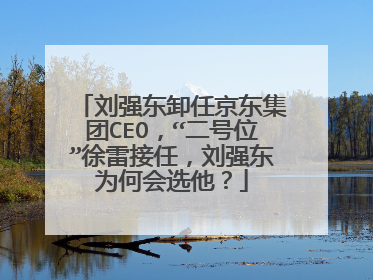 刘强东卸任京东集团CEO，“二号位”徐雷接任，刘强东为何会选他？