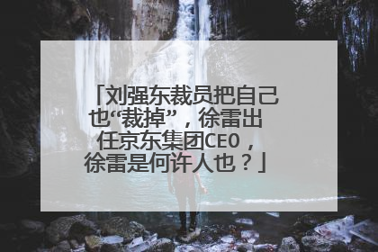 刘强东裁员把自己也“裁掉”，徐雷出任京东集团CEO，徐雷是何许人也？