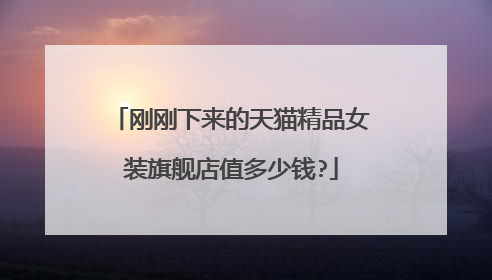 刚刚下来的天猫精品女装旗舰店值多少钱?