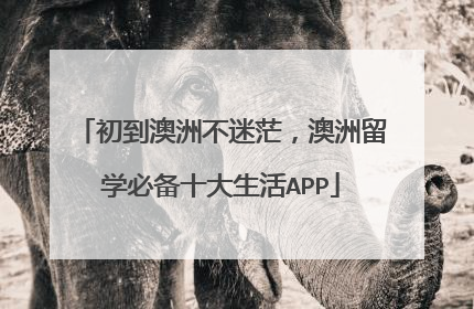 初到澳洲不迷茫,澳洲留学必备十大生活APP