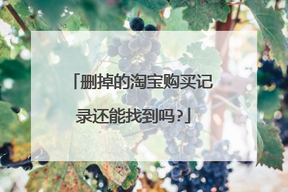 删掉的淘宝购买记录还能找到吗?