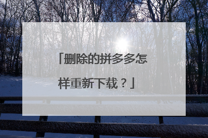 删除的拼多多怎样重新下载?