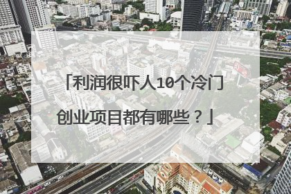 利润很吓人10个冷门创业项目都有哪些?