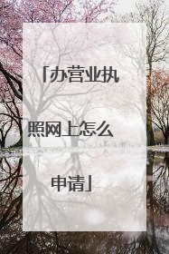 办营业执照网上怎么申请