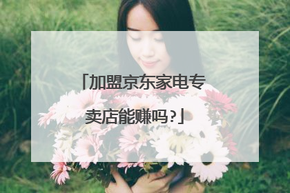 加盟京东家电专卖店能赚吗?