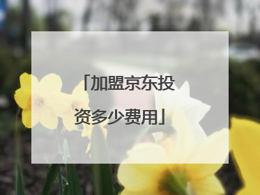 加盟京东投资多少费用
