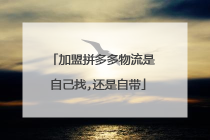 加盟拼多多物流是自己找,还是自带