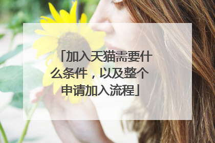 加入天猫需要什么条件,以及整个申请加入流程