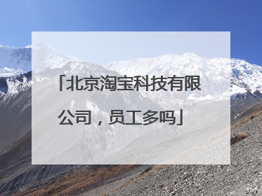 北京淘宝科技有限公司，员工多吗