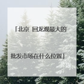 北京 回龙观最大的批发市场在什么位置