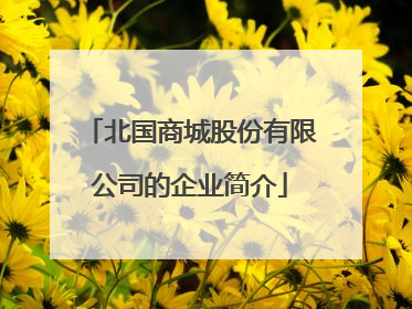 北国商城股份有限公司的企业简介