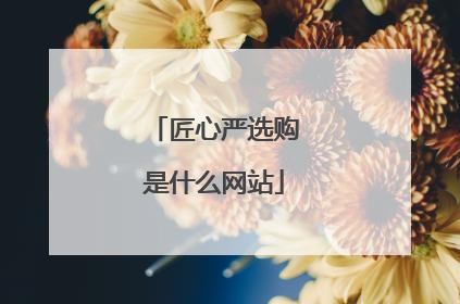 匠心严选购是什么网站