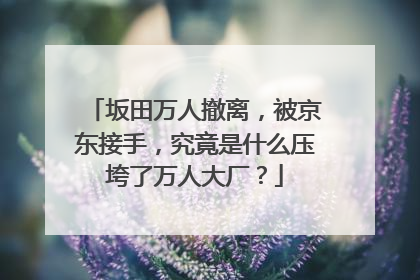 坂田万人撤离，被京东接手，究竟是什么压垮了万人大厂？