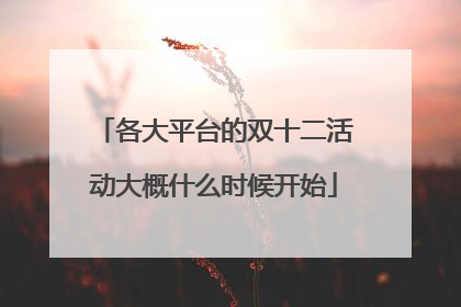 各大平台的双十二活动大概什么时候开始