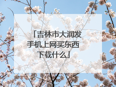 吉林市大润发手机上网买东西下载什么