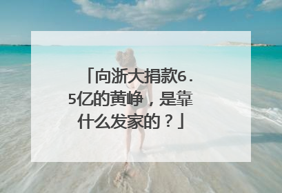 向浙大捐款6.5亿的黄峥，是靠什么发家的？