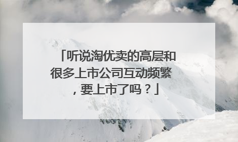 听说淘优卖的高层和很多上市公司互动频繁,要上市了吗?