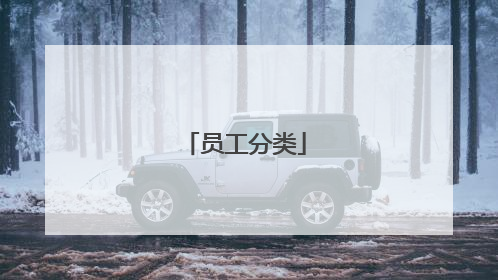 员工分类