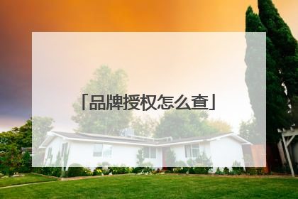 品牌授权怎么查