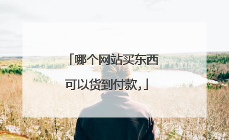 哪个网站买东西可以货到付款,