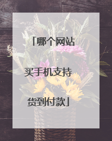 哪个网站买手机支持货到付款