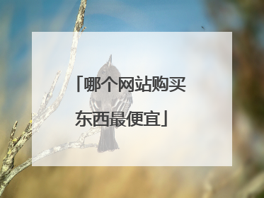 哪个网站购买东西最便宜