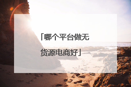 哪个平台做无货源电商好