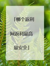 哪个返利网返利最高最安全