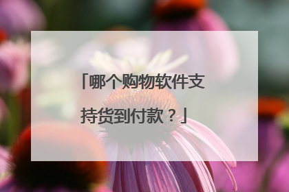 哪个购物软件支持货到付款?