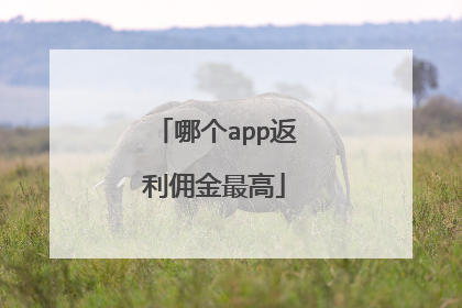 哪个app返利佣金最高