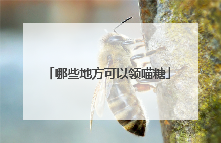 哪些地方可以领喵糖