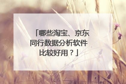 哪些淘宝、京东同行数据分析软件比较好用？