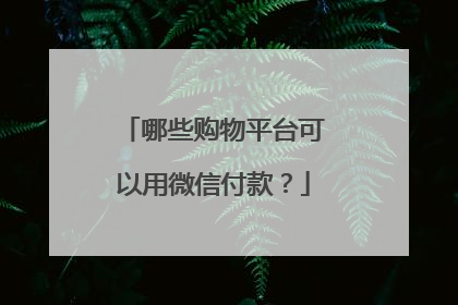 哪些购物平台可以用微信付款?