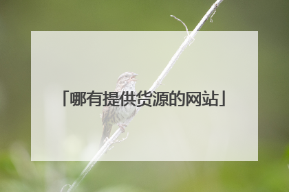 哪有提供货源的网站