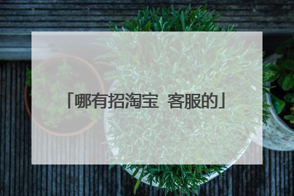 哪有招淘宝 客服的