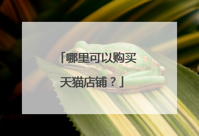 哪里可以购买天猫店铺？